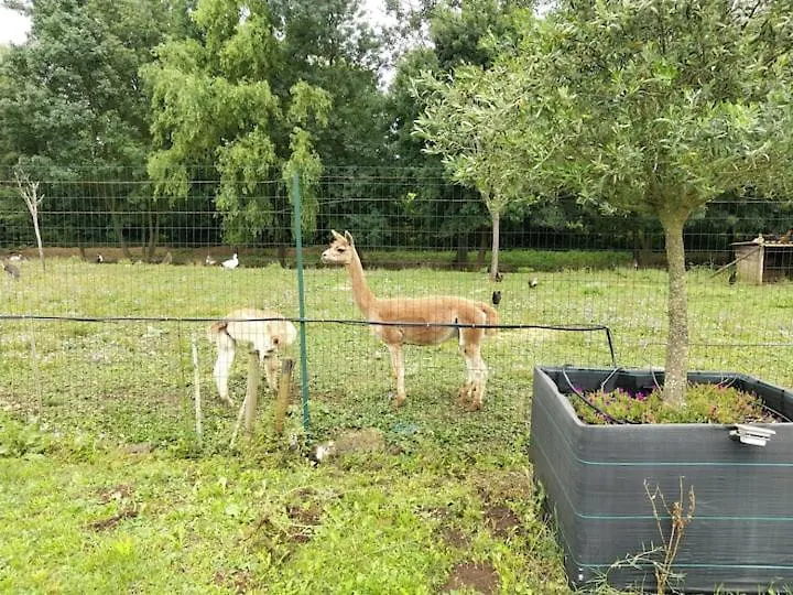 Belle Maison du Quercy privative Septfonds Hébergement de vacances